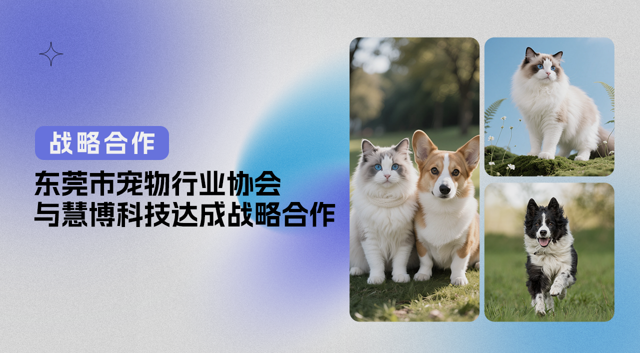 东莞市宠物行业协会与慧博科技达成战略合作,共筑会员服务新平台