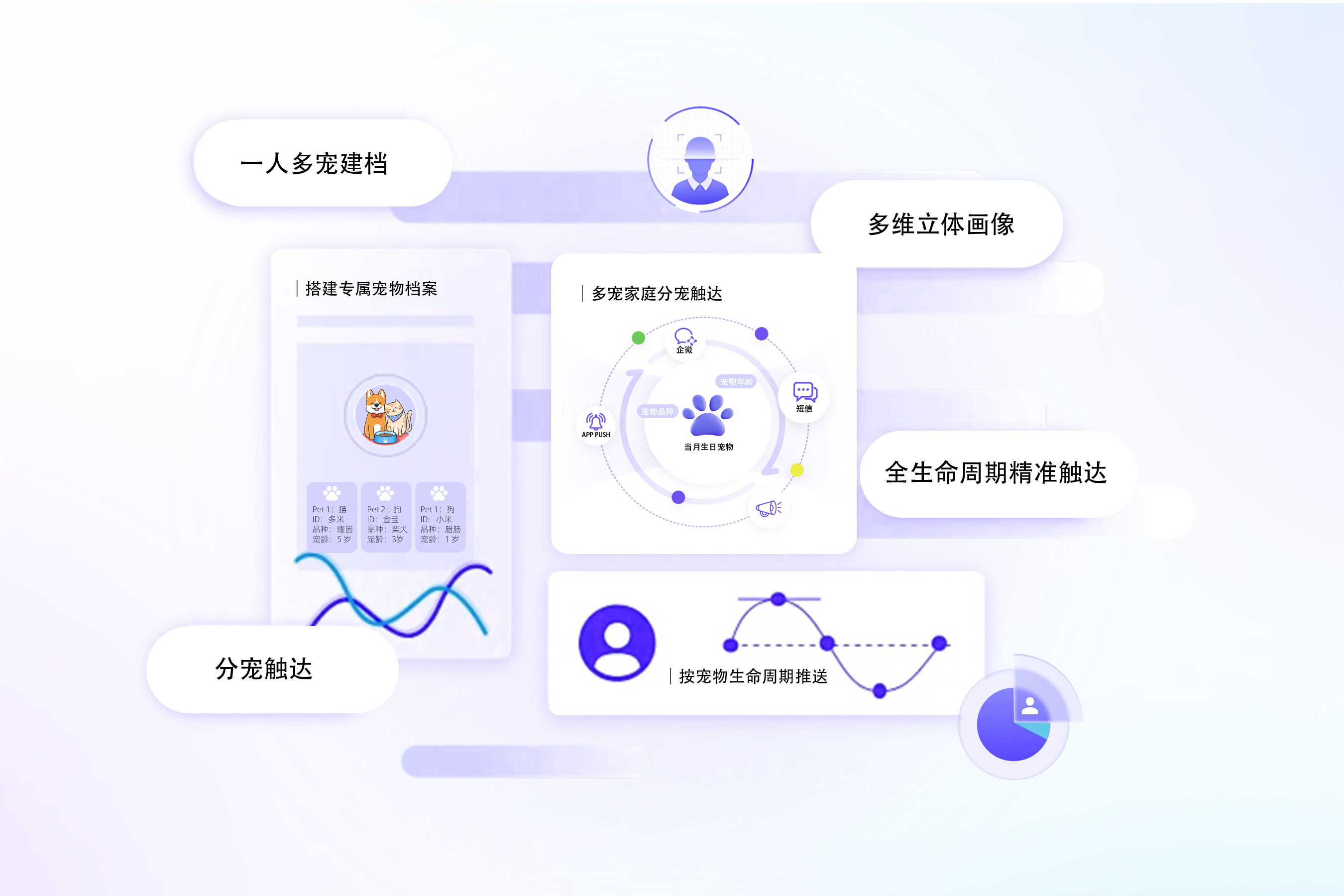 宠物行业